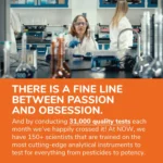 NOW Foods Supplements, Vitamin B-100, Nervous System Health 100 Capsules - Image 3