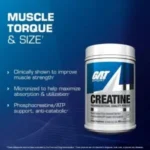 GAT SPORT Creatine Monohydrate Powder (300g) - Image 4