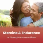 NutraChamps, Korean Panax Ginseng, 120 Vegan Capsules (532.5 mg Capsule Each) - Image 6