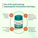 Himalaya, Liv 52 DS (60 Tablets) - Image 2