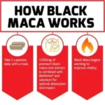 Force Factor Black Maca 90 Capsules - Image 4