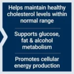 Life Extension, Vitamin B3 Niacin 500mg 100 Capsules - Image 4