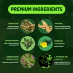 Sladak Naturals Premium Herbal Blend Testosterone Booster For Men (60 Capsule) - Image 4