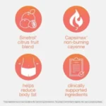 Youtheory Daily Fat Burner (60 Capsules) - Image 4