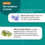 Himalaya Liv 52 (100 Tablet) - Image 2