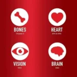 Seven Seas Cod Liver Oil One-A-Day (120 Capsules) - Image 2